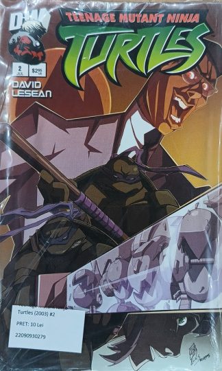Teenage Mutant Ninja Turtles (2003) #2